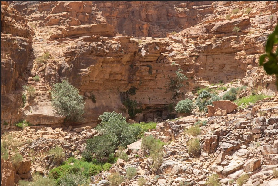 Al Qattar Spring Wadi Rum